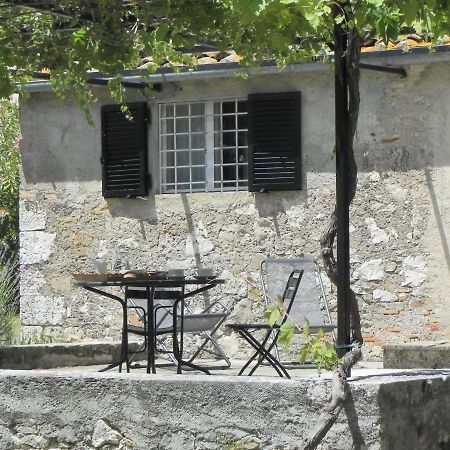 סטורניה Vignagrande Agriturismo מראה חיצוני תמונה