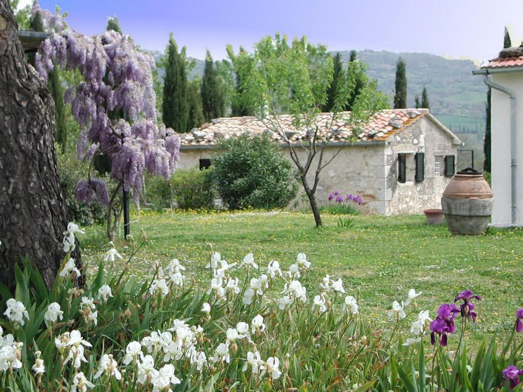 סטורניה Vignagrande Agriturismo מראה חיצוני תמונה