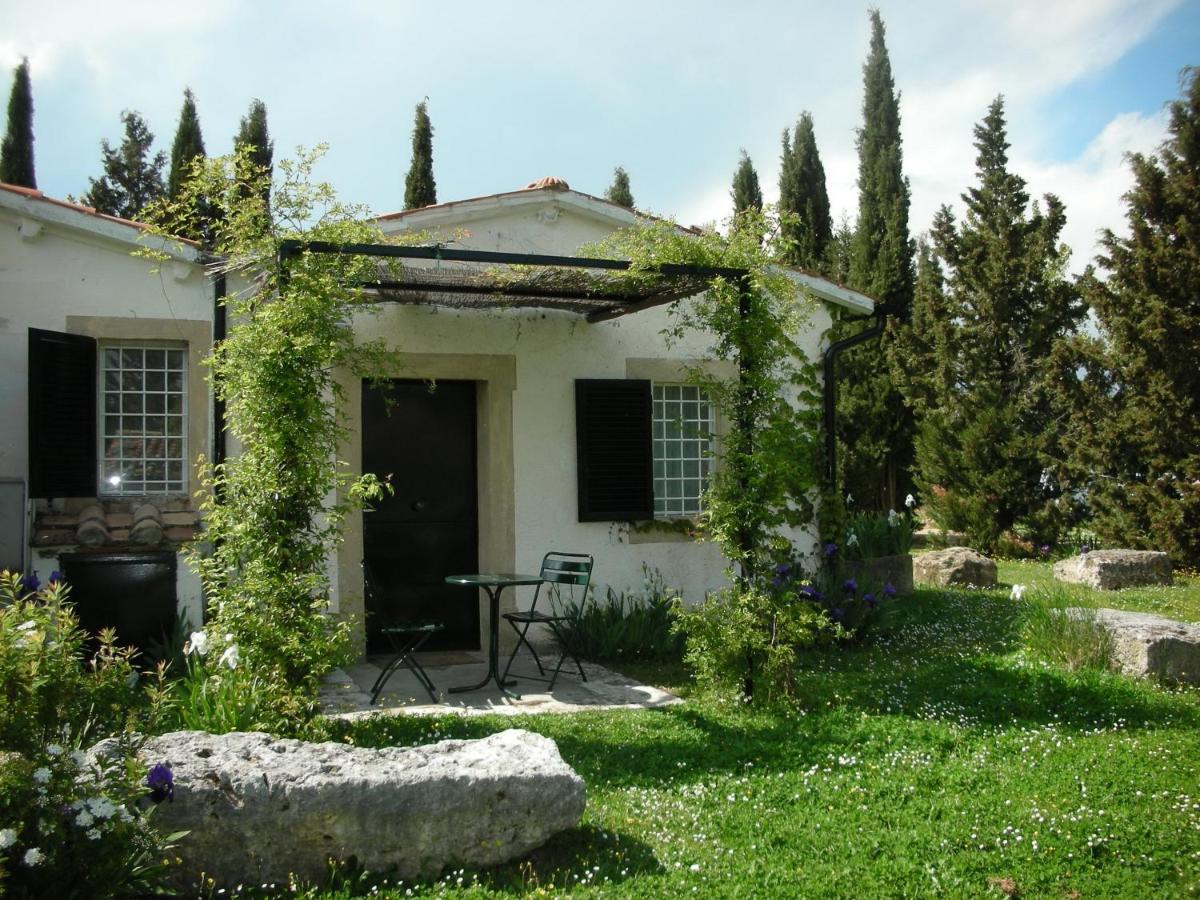 סטורניה Vignagrande Agriturismo מראה חיצוני תמונה